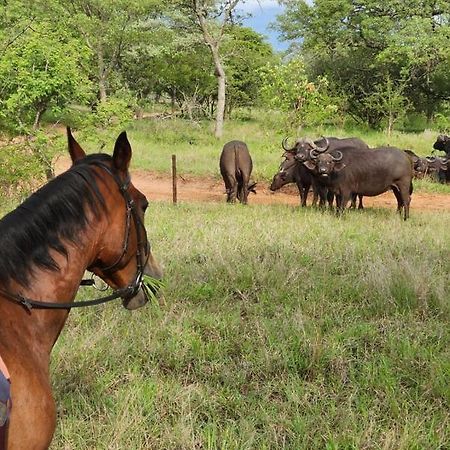 Wild Ride Safaris And Bush Camp Villa Hoedspruit Eksteriør billede