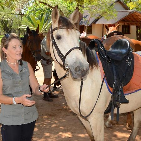 Wild Ride Safaris And Bush Camp Villa Hoedspruit Eksteriør billede