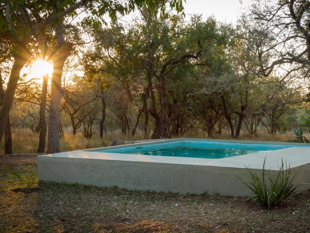 Wild Ride Safaris And Bush Camp Villa Hoedspruit Eksteriør billede
