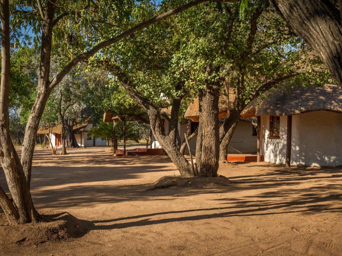 Wild Ride Safaris And Bush Camp Villa Hoedspruit Eksteriør billede