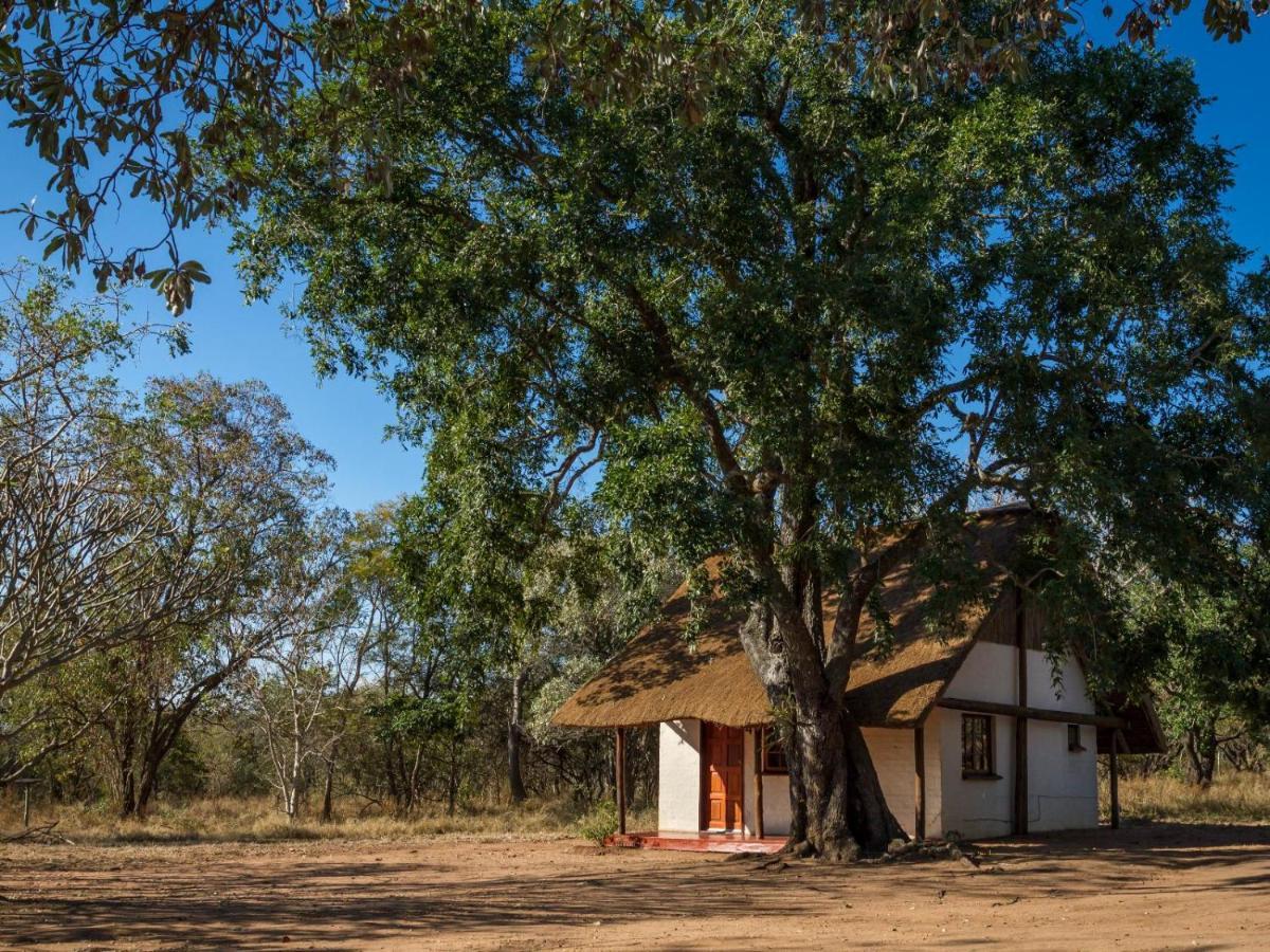 Wild Ride Safaris And Bush Camp Villa Hoedspruit Eksteriør billede