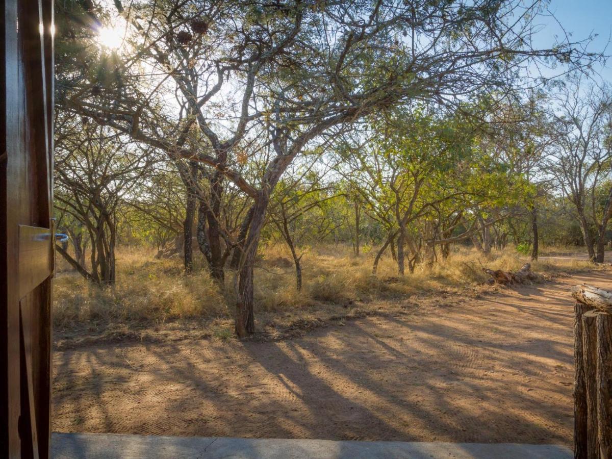 Wild Ride Safaris And Bush Camp Villa Hoedspruit Eksteriør billede