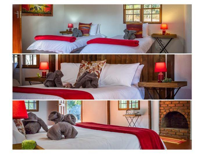 Wild Ride Safaris And Bush Camp Villa Hoedspruit Eksteriør billede