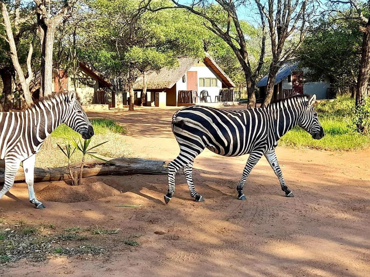 Wild Ride Safaris And Bush Camp Villa Hoedspruit Eksteriør billede