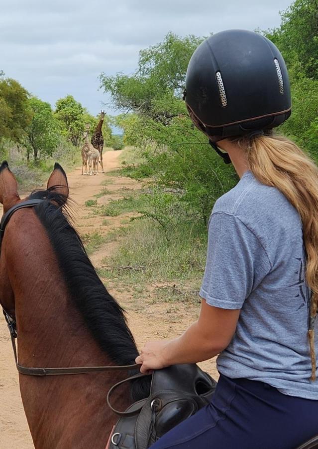 Wild Ride Safaris And Bush Camp Villa Hoedspruit Eksteriør billede