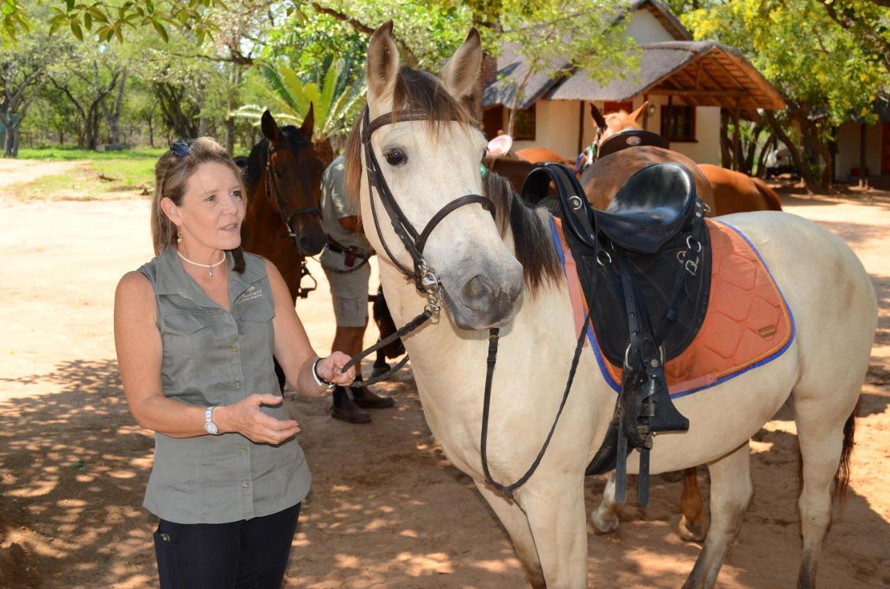 Wild Ride Safaris And Bush Camp Villa Hoedspruit Eksteriør billede