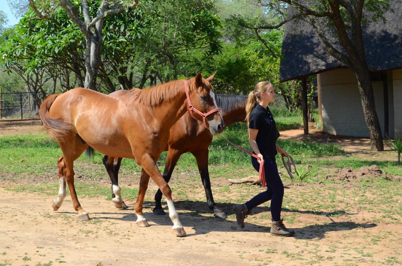 Wild Ride Safaris And Bush Camp Villa Hoedspruit Eksteriør billede